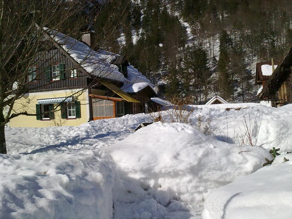 Haus Fratnik Obertraun Exterior foto